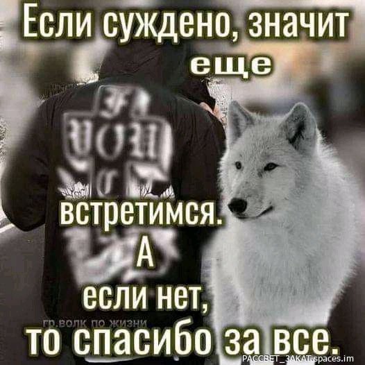 FB IMG 16883025353255768-