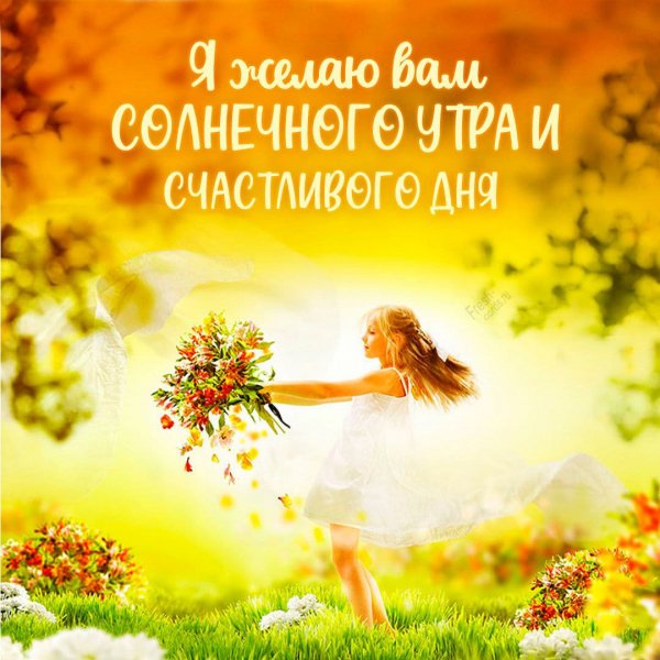 IMG-20260721-WA0011