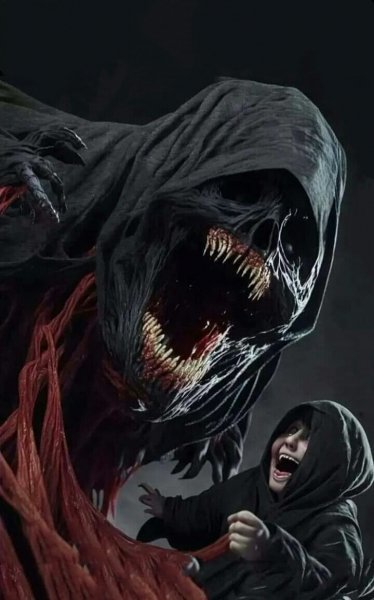 Img 82517