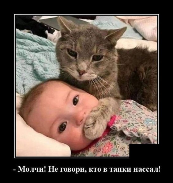 Молчи. Не говори кто в тапки...