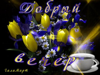 добрый вечер 084064