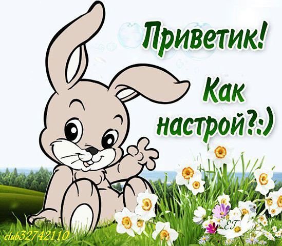 Privetik Kak nastroj nasimke ru