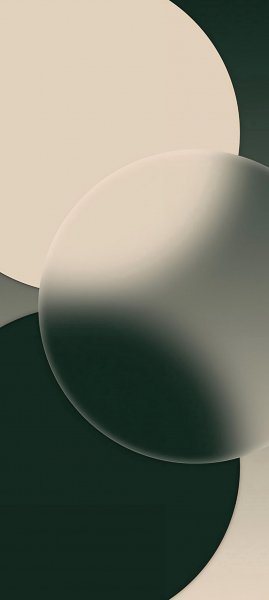 adapted 1080x2408 1775659862