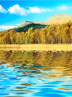 file_46653849