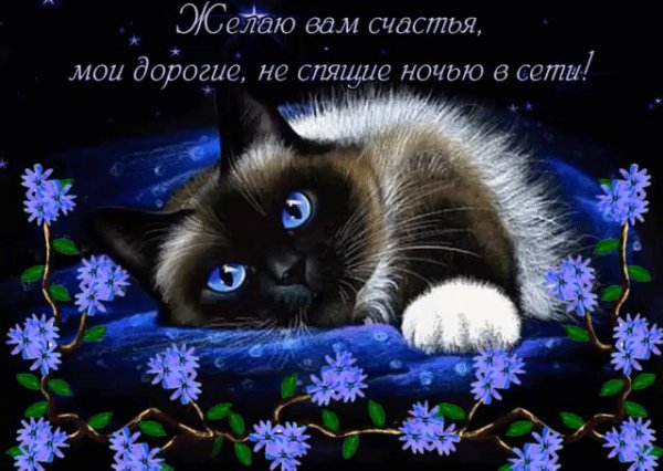 file_76804685
