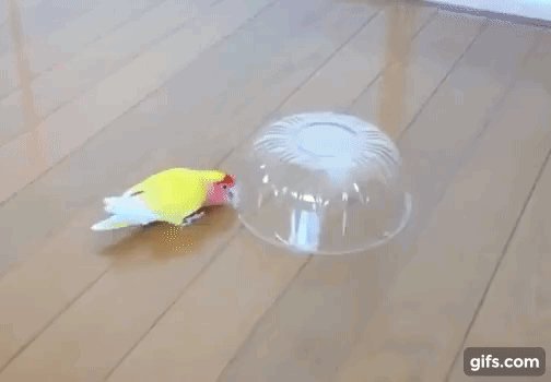 Защитная сфера активирована!