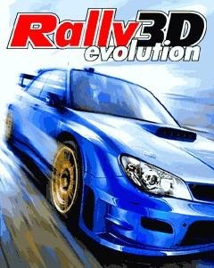 3D Rally Evolution