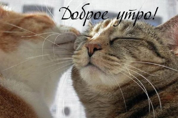 Доброе утро!
