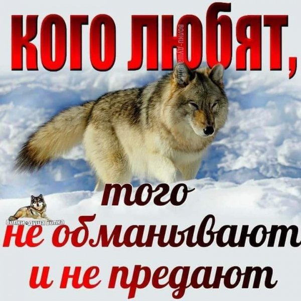 FB IMG 1638988769891