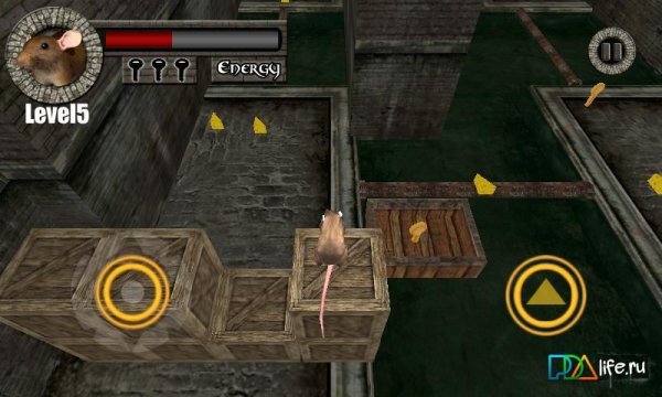 Sewer-Rat-Run-v1.9