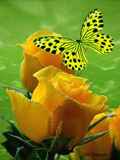 file_73725415