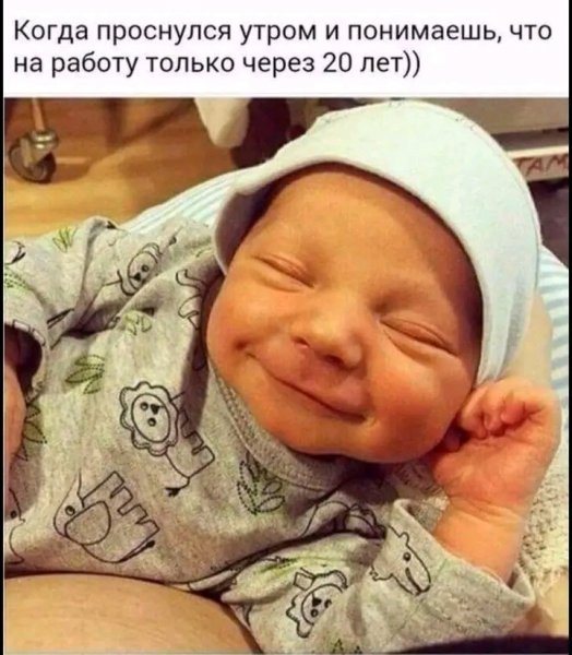 file_103314453