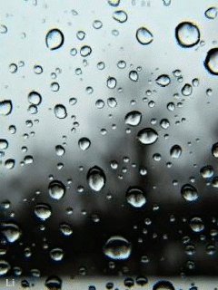 file_46686223
