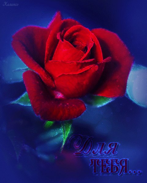 0 dea40 1ee966
