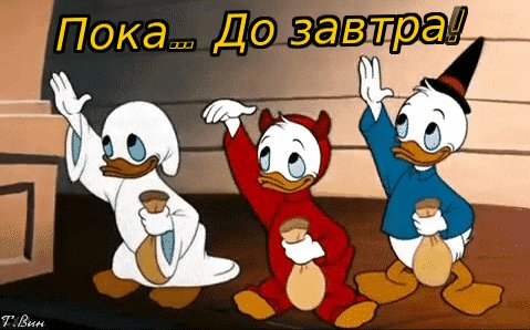 file_80021587