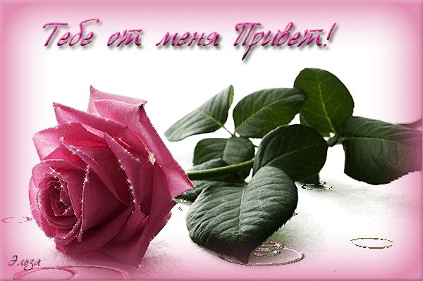 IMG 20161204 130755 0