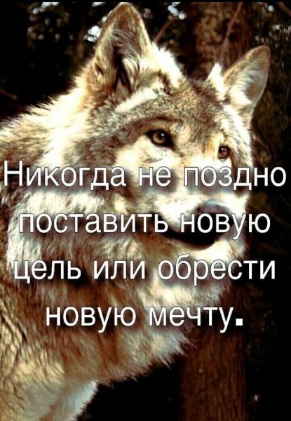IMG 20260227 224335