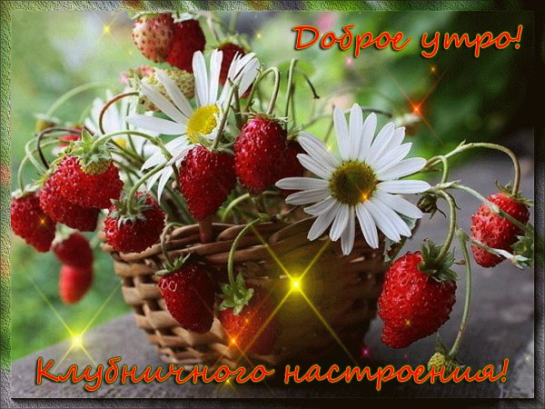 file_73828351