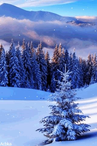 file_79933775