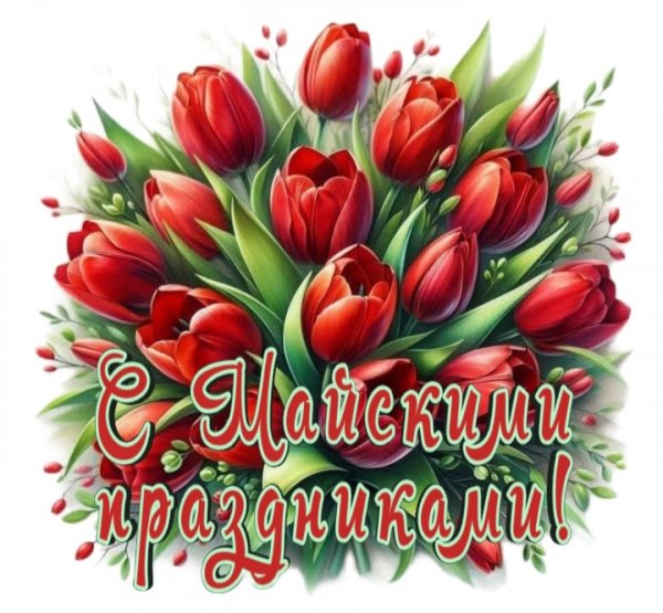 IMG 20260430 164243