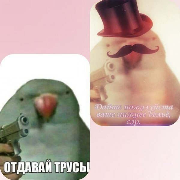 IMG 20260522 022508 585
