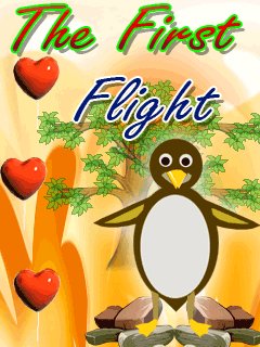 FirstFlight