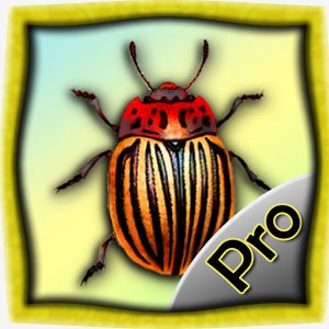Warrior Bugs Pro v 1.0.1