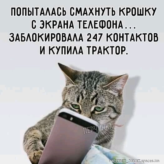 FB IMG 16948618011584740-