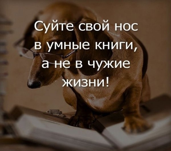Istina!-