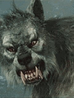 tumblr m53wij8V551r3m3gjo1 250