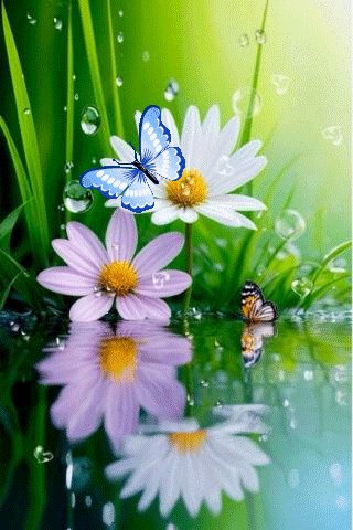 file_96041039
