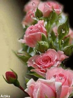 file_57183638