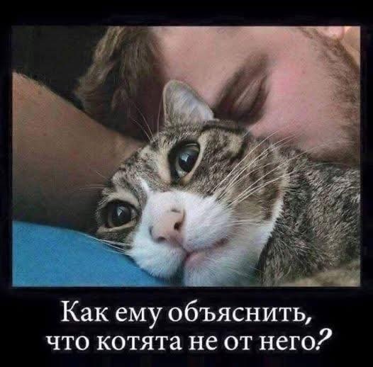 file_99867949