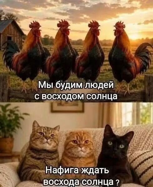 file_103374645