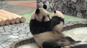 file_58052438