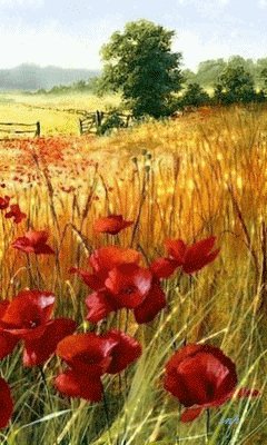 file_43979569
