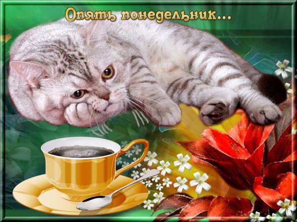 file_75424796