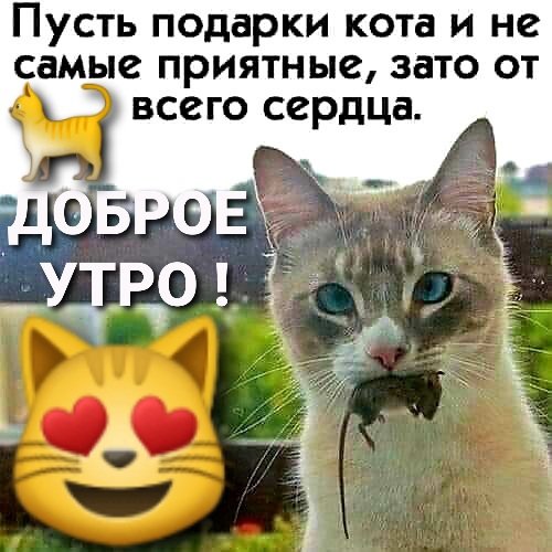 file_88777367