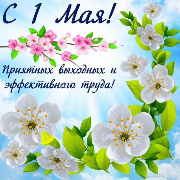 1 мая