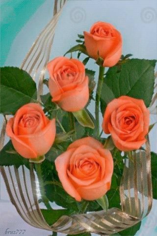 file_57509869