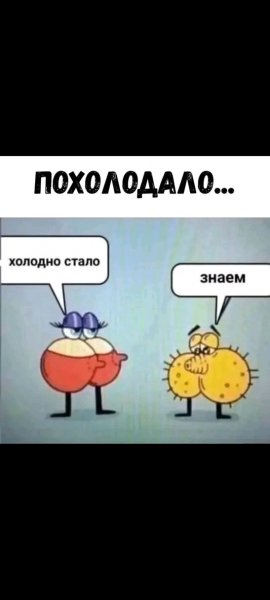 file_103417411