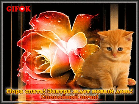 1ckefe5gn9vm11j7