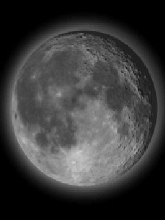 file_41413679