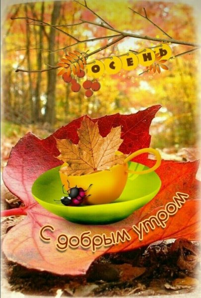 7gzzdPpcOME
