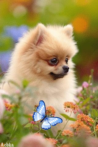 file_97326020