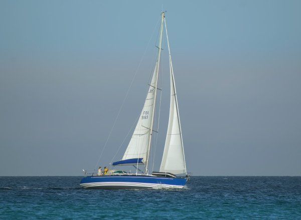 IMG 214644 viter59