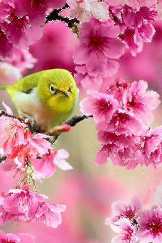 file_46573067