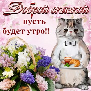 IMG 20190126 854779