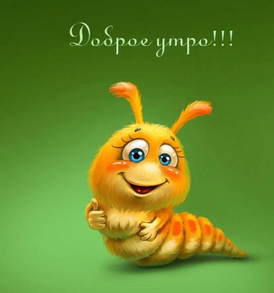 IMG 20181207 087668