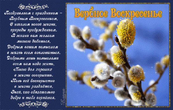С Вербным воскресеньем!..3.